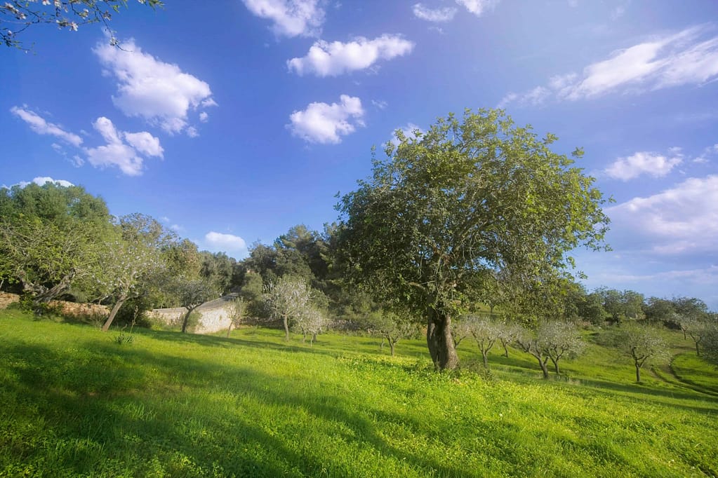 Peaceful environment for integration after deep inner work — what changes at a trauma retreat stays with you beyond the retreat itself