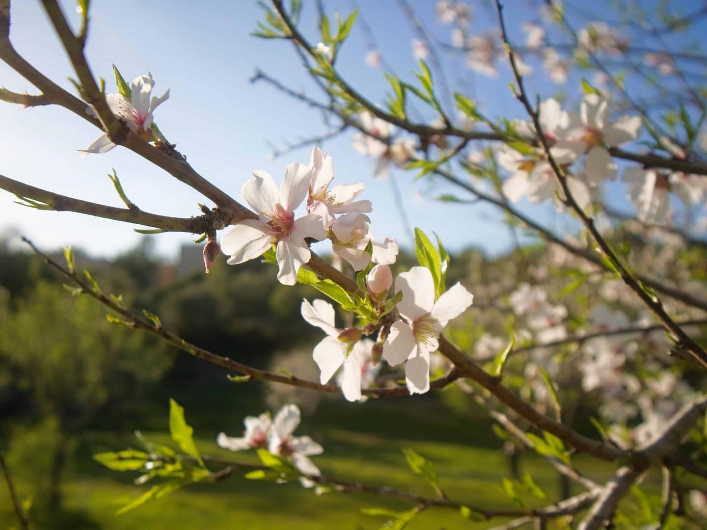 Zu sich selbst finden Mallorca Retreat Urlaub Alleine