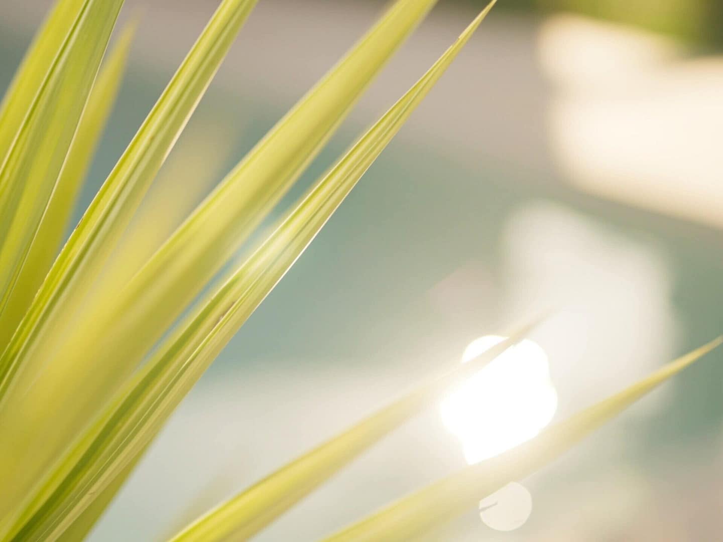 Meditation Space Luxury Retreat Mallorca Privat