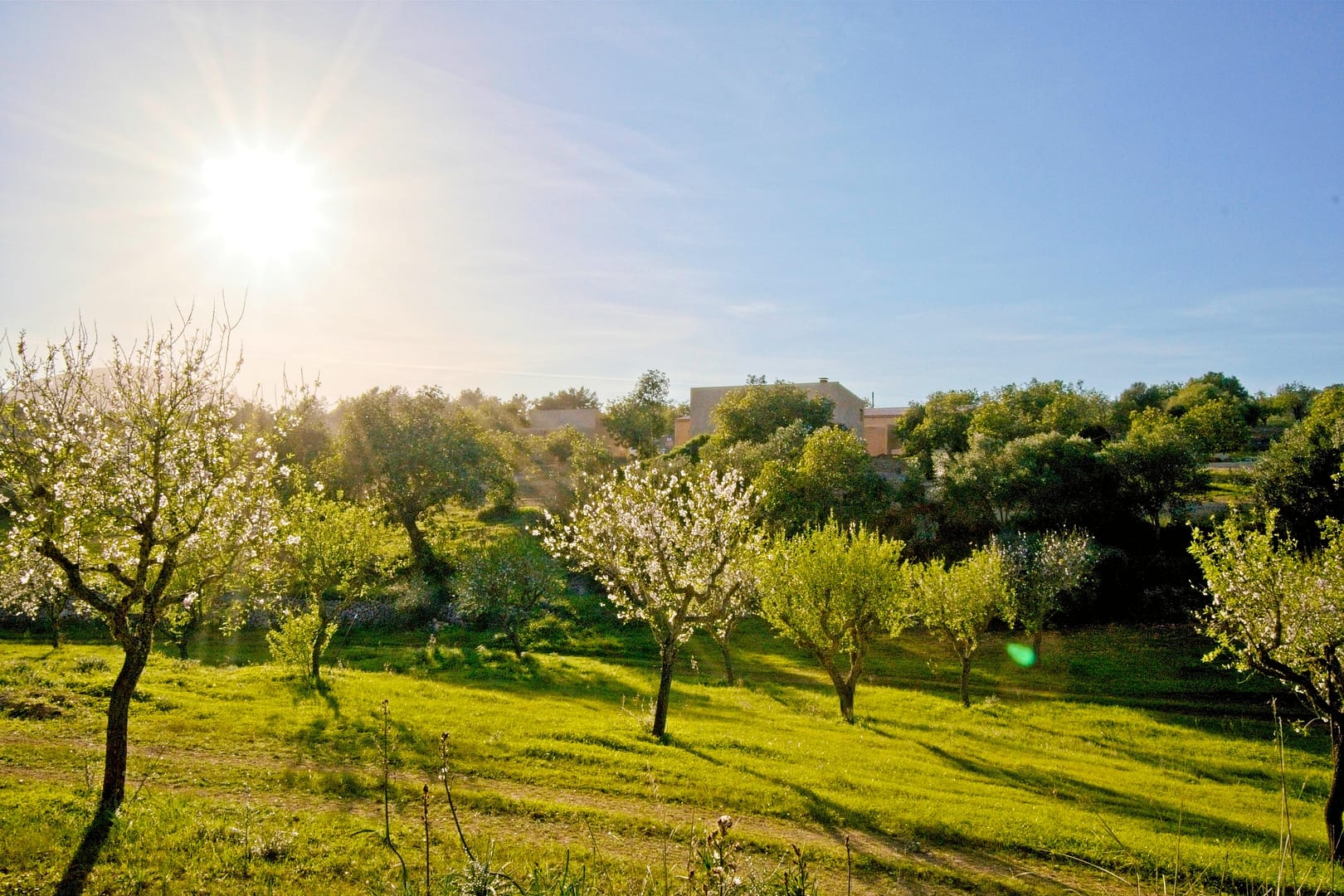 Outdoor meditation space healing retreat Santanyi