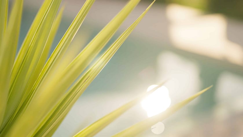 Ruhige Retreat-Umgebung auf Mallorca — ein Retreat Urlaub schafft Raum für echte Veränderung